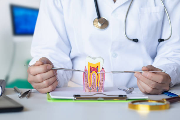 Best Emergency Root Canal Treatment in Marist College, NY